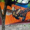tour valledupar centro historico