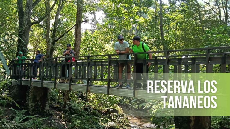 caminata ecologica en valledupar a reserva los tucanes