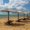 guajira vallenatour
